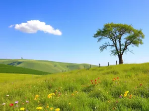 Netia internet – niezawodne połączenie w każdym zakątku kraju